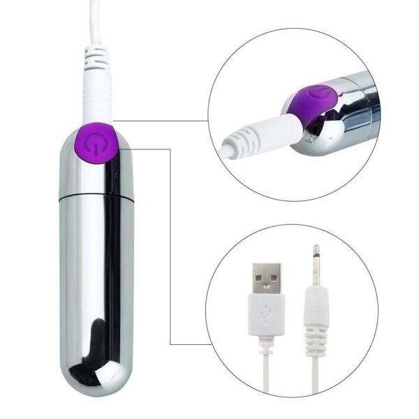 10 Speed Rechargeable Silver Bullet Vibrator